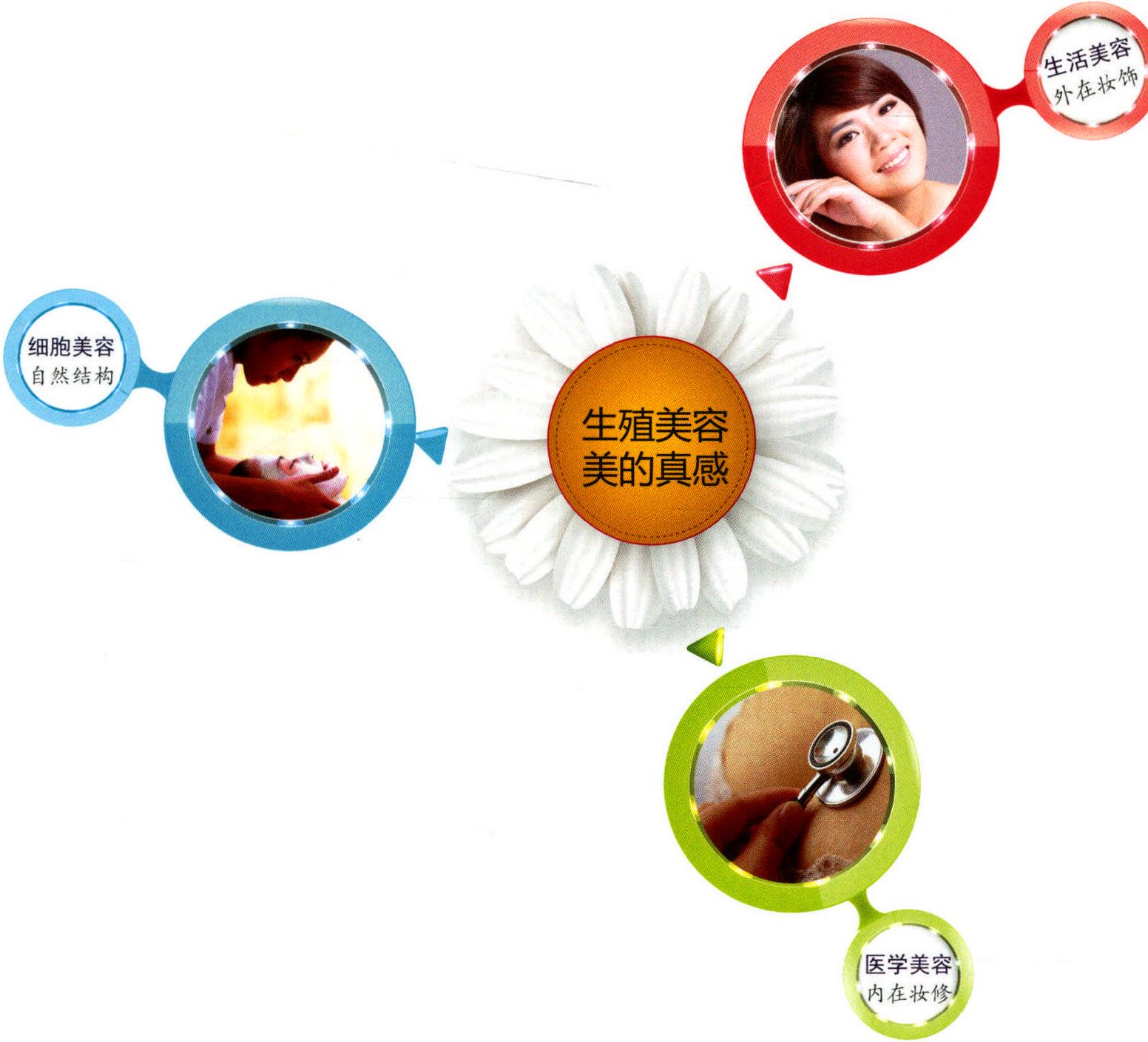 8.5 生活美容、醫(yī)學(xué)美容、細(xì)胞美容和生殖美容四者的關(guān)系